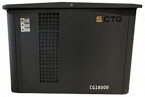 Газовый генератор CTG CG18000SA с АВР ДизельЭнергоРесурс